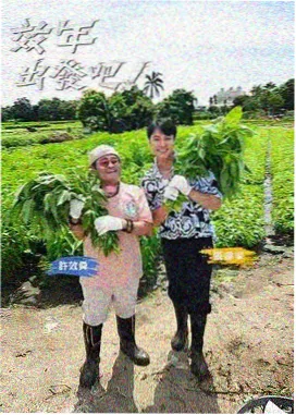 91在线观看脱口秀节目